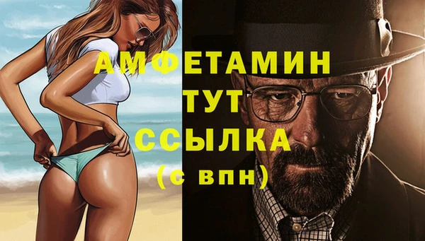 индика Ступино