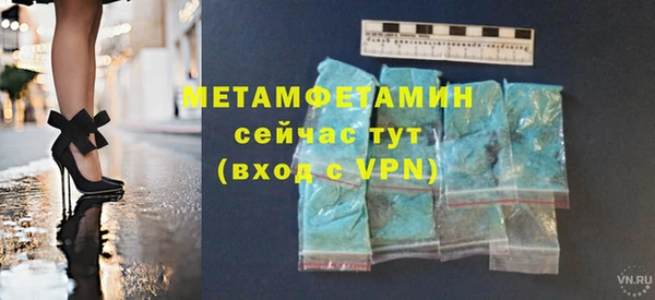 гидра Ельня