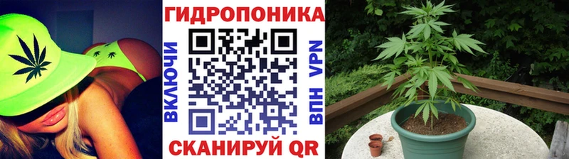 МАРИХУАНА гибрид  Беслан 